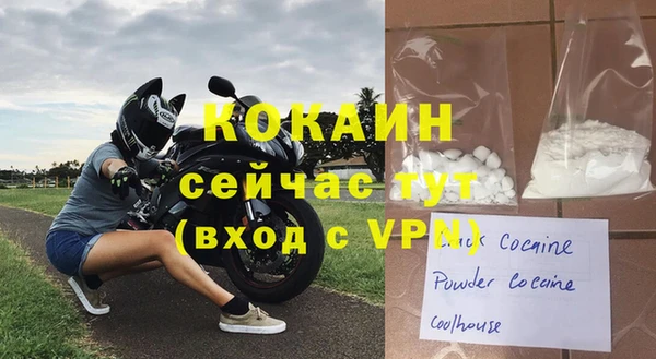 ECSTASY Горняк