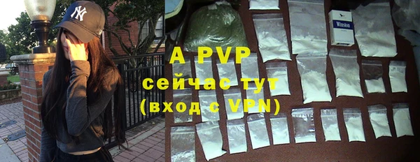 спиды Абаза