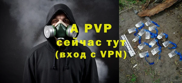 спиды Абаза